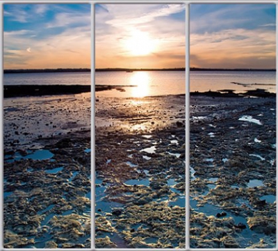 

Шкаф купе Luxe Studio Стандарт-1 Фотопечать Природа-51 2200x2100x600 трехдверный