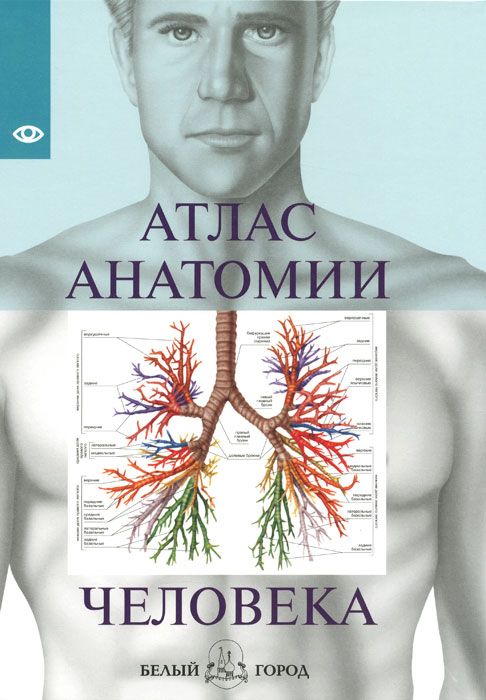 

Атлас анатомии человека