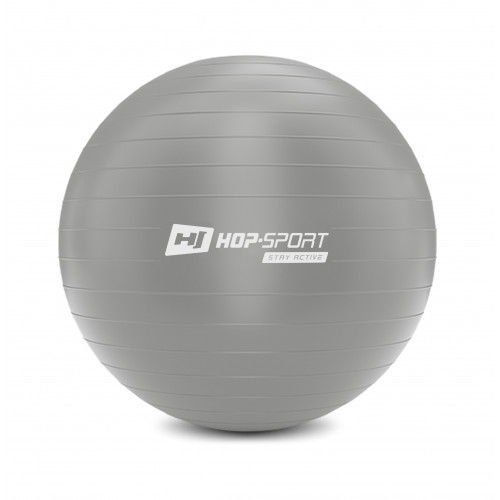 

Фитбол Hop-Sport 65 см серебристый с насосом 2020 (HS-R065YB)