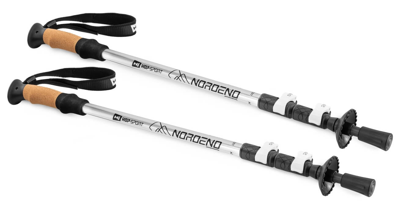 

Трекинговые палки Hop-Sport Nordend Pro серебристые (HS-0145TP)