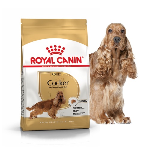 

Сухой корм для собак породы кокер-спаниель Royal Canin COCKER ADULT для взрослых собак от 12 мес. (3 кг)