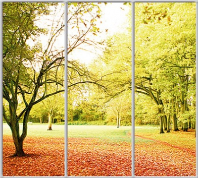 

Шкаф купе Luxe Studio Стандарт-1 Фотопечать Природа-167 2300x2000x600 трехдверный