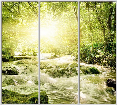 

Шкаф купе Luxe Studio Стандарт-1 Фотопечать Природа-45 2300x2100x600 трехдверный