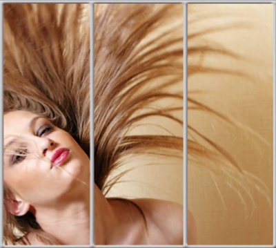 

Шкаф купе Luxe Studio Стандарт-1 Фотопечать Салон красоты-7 2300x2200x600 трехдверный