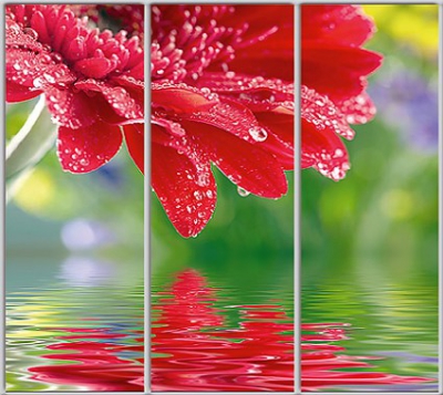 

Шкаф купе Luxe Studio Стандарт-1 Фотопечать Природа-208 2300x2000x600 трехдверный