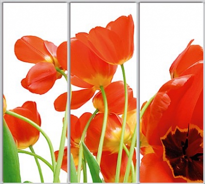 

Шкаф купе Luxe Studio Стандарт-1 Фотопечать Природа-109 2300x2000x600 трехдверный