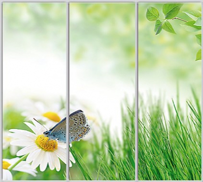 

Шкаф купе Luxe Studio Стандарт-1 Фотопечать Природа-223 2300x2100x600 трехдверный