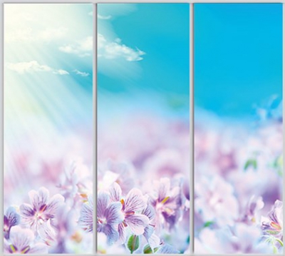 

Шкаф купе Luxe Studio Стандарт-1 Фотопечать Природа-139 2300x2200x600 трехдверный