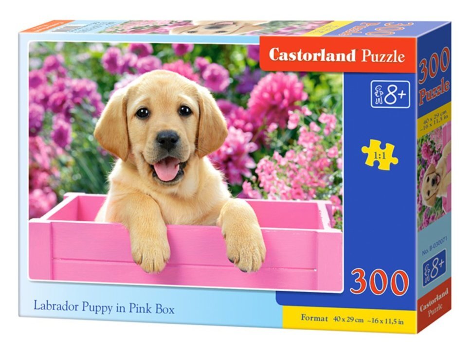 

Пазлы Castorland Щенок в ящике, 300 элементов puzzle (30071)