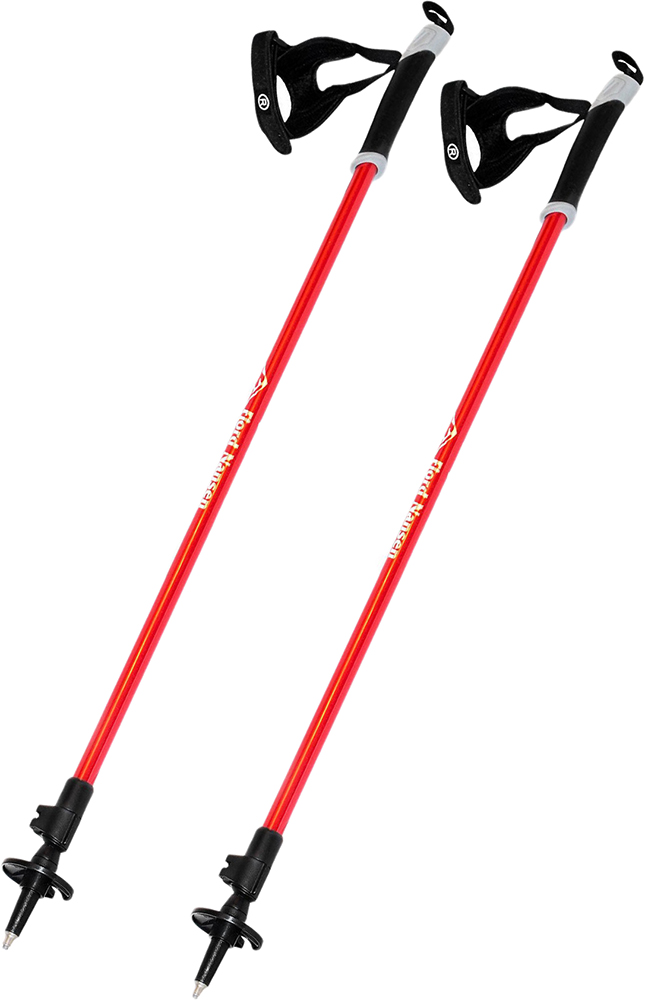 

Треккинговые палки Fjord Nansen Nordic Pro II (fn_30224)