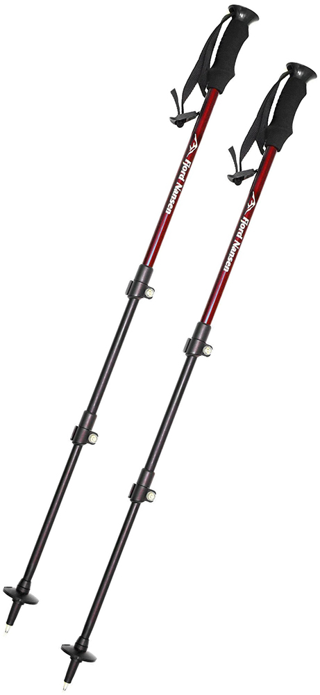 

Треккинговые палки Fjord Nansen Gravel Red (fn_7199)