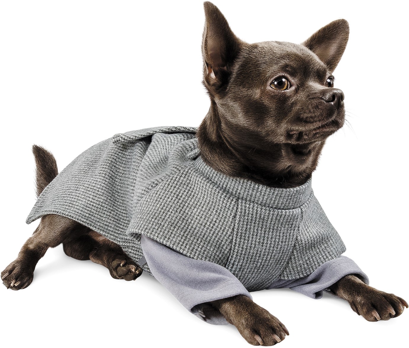 

Жакет Pet Fashion Шаттл X S-2 (4823082415618)
