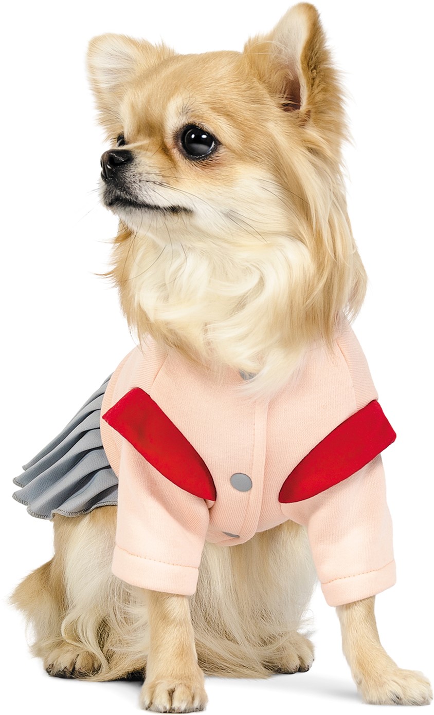

Костюм Pet Fashion девочка Спейс S (4823082416158)