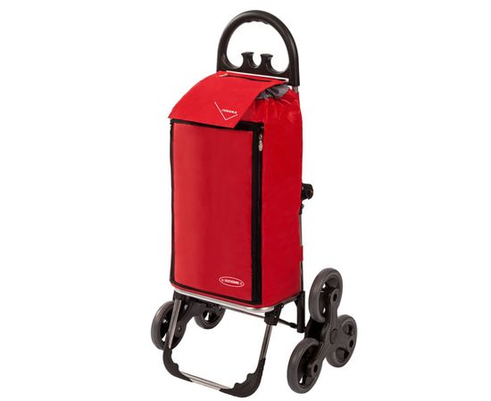 

Сумка Aurora Amalfi Click 50 Red (F00202904)