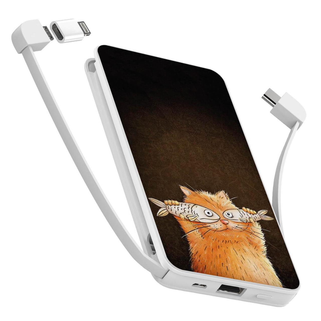 

Power Bank ZIZ 10000 mAh Котофей — Повербанк, УМБ, Портативная батарея (1897)
