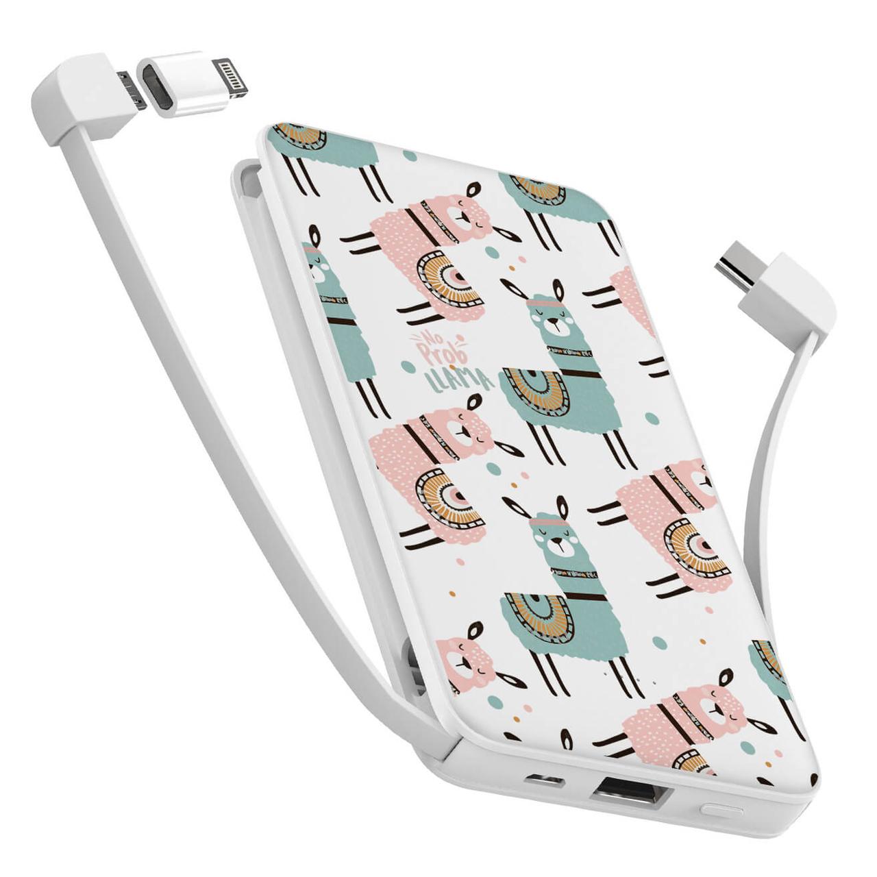 

Power Bank ZIZ 10000 mAh Не проблама — Повербанк, УМБ, Портативная батарея (1920)