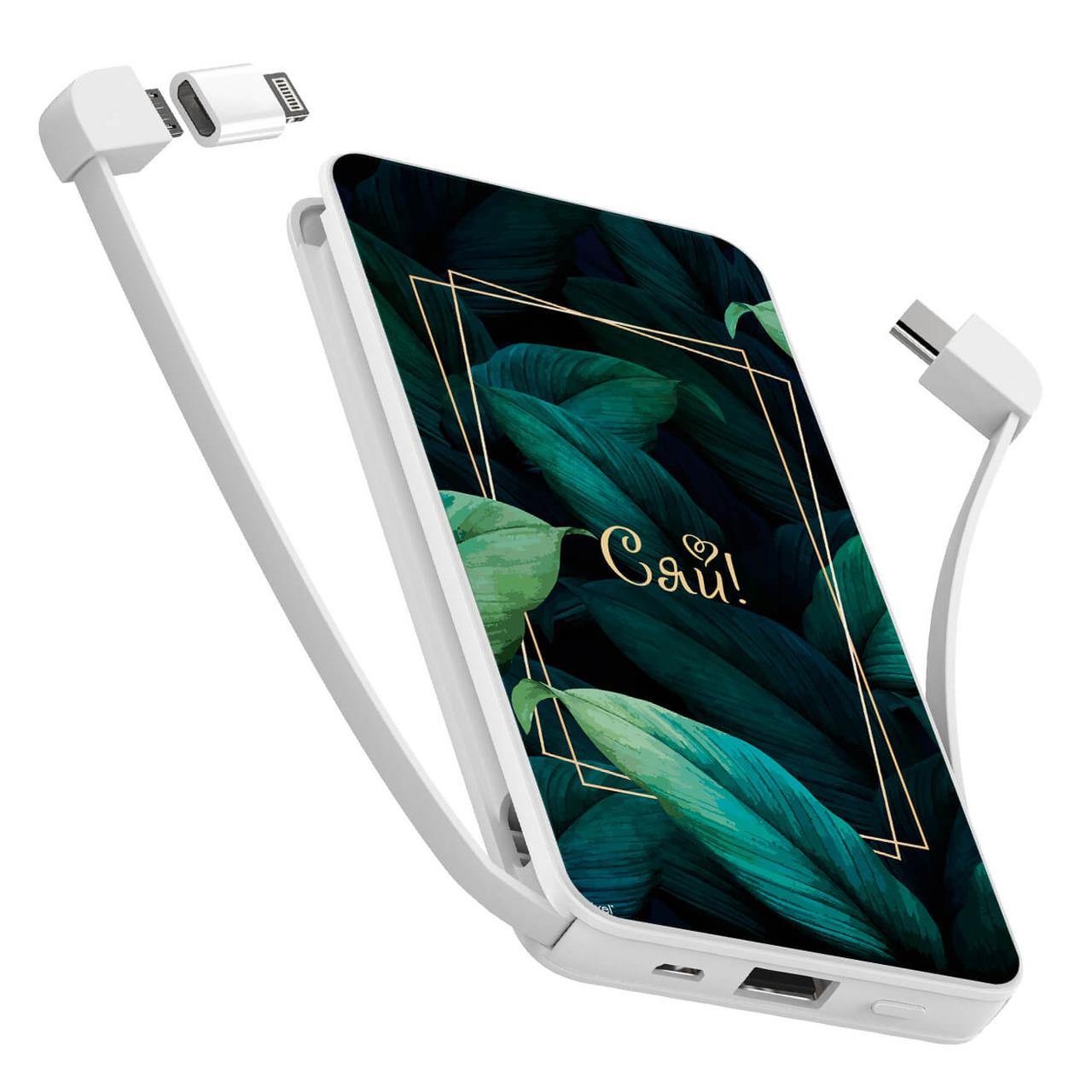 

Power Bank ZIZ 10000 mAh Сяй — Повербанк, УМБ, Портативная батарея (1900)