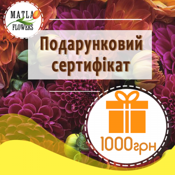 

1000 грн - подарунковий сертифікат