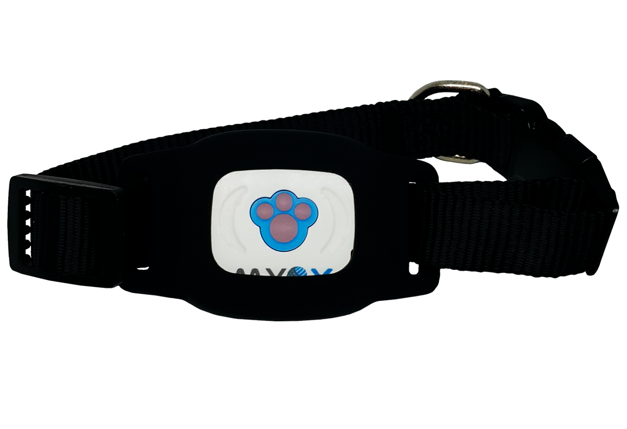 

GPS ошейник для собак MYOX MPT-03DB (черный)