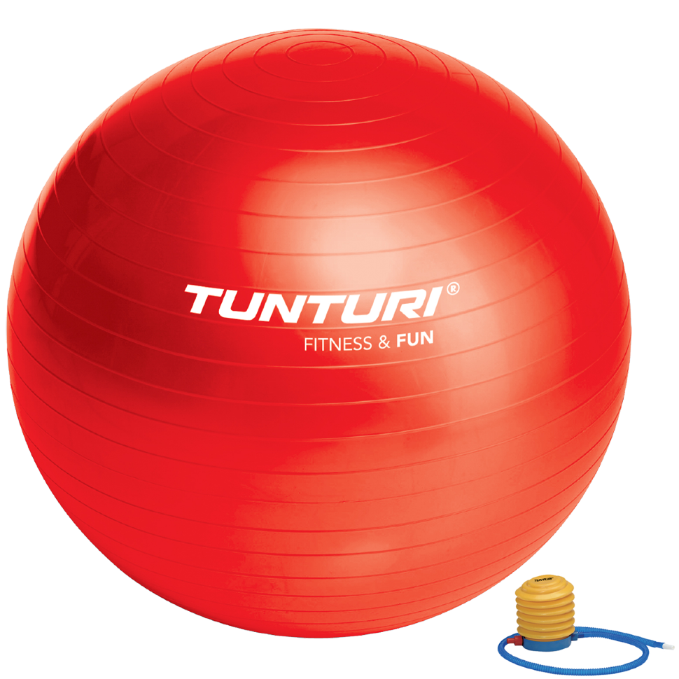 

Фитбол (мяч для фитнеса) Tunturi Gymball 65 cm 14TUSFU170