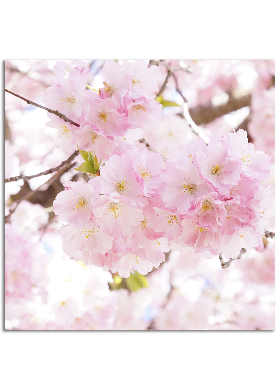 

Фотокартина на холсте Нежные оттенки весны, 80*80 см