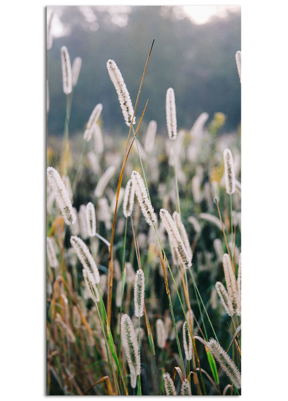 

Фотокартина на холсте Поляна, 60*120 см