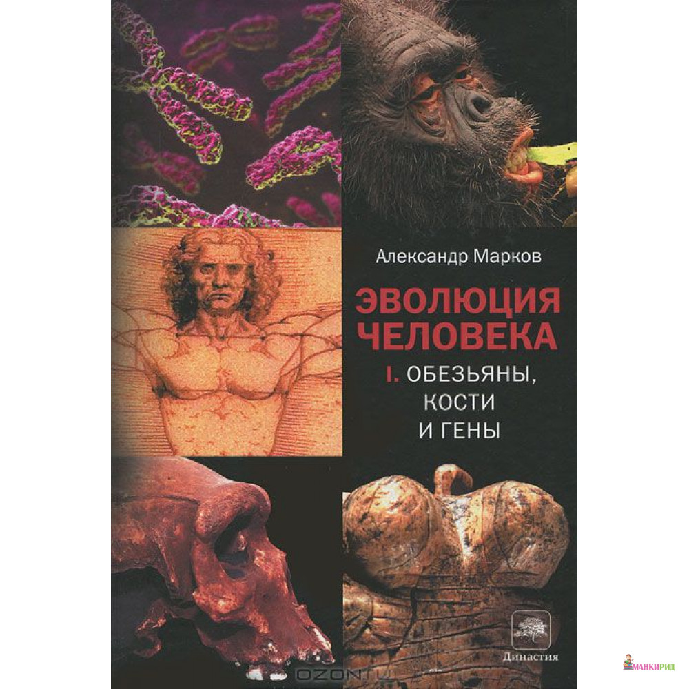 

Эволюция человека. В 2 книгах. Книга 1. Обезьяны, кости и гены - Александр Марков - 329954