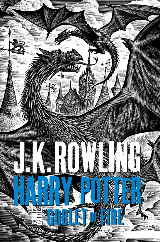 

Harry Potter and the Goblet of Fire (993133)
