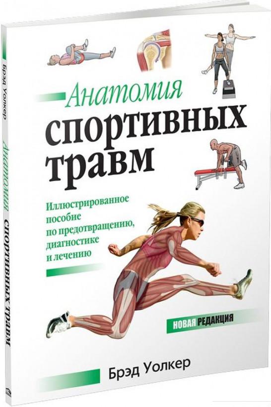 

Анатомия спортивных травм (964496)