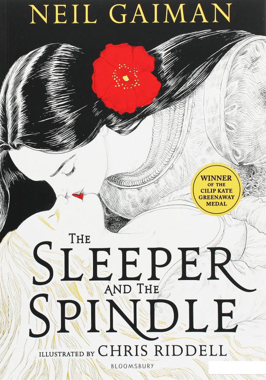 

The Sleeper and the Spindle (1037735)