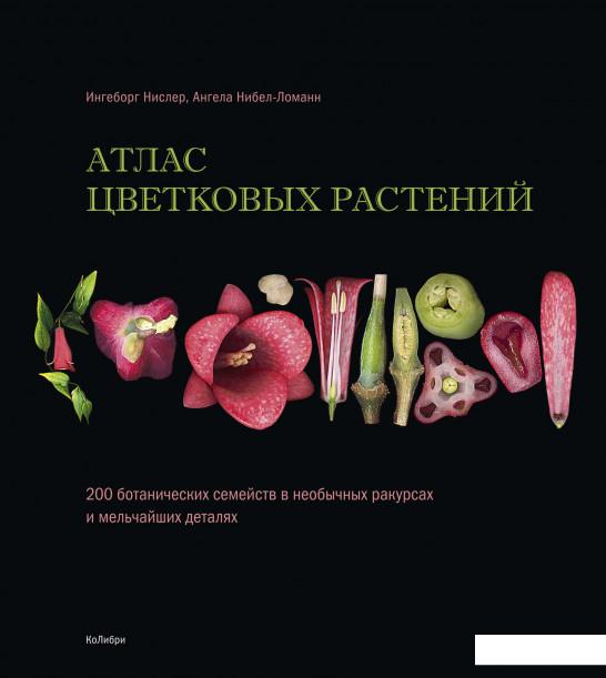 

Атлас цветковых растений. 200 ботанических семейств в необычных ракурсах и мельчайших деталях (1139093)