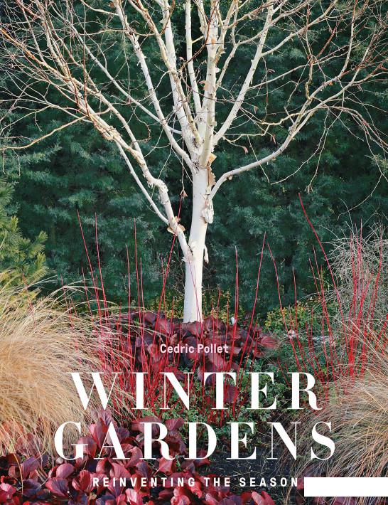 

Winter Gardens (933656)