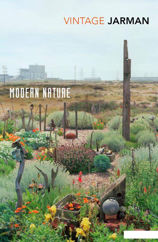 

Modern Nature (954562)