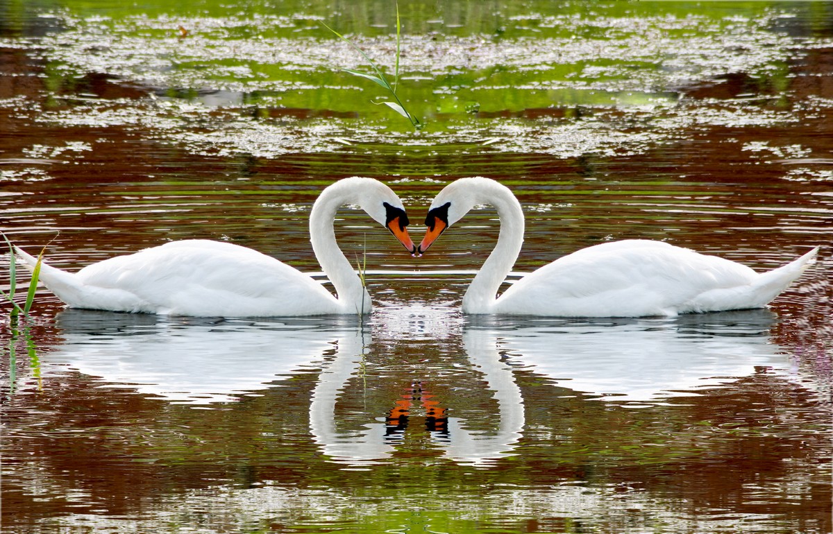 

BeHappy Фотообои: Влюблённая пара ANI-034 Песок