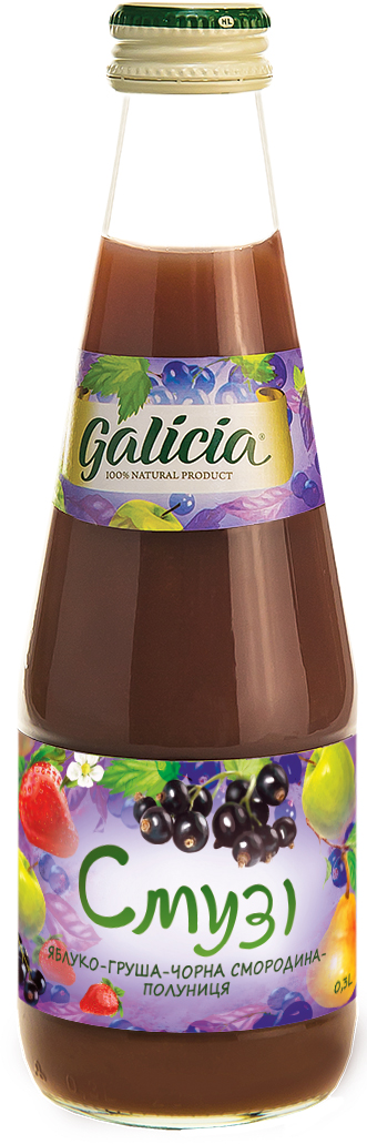 Акція на Упаковка сока с мякотью Galicia Смузи смесь фруктов Яблоко-груша-черная смородина-клубника стерилизованный 0.3 л х 12 бутылок (4820209562989_4820209561081) від Rozetka UA