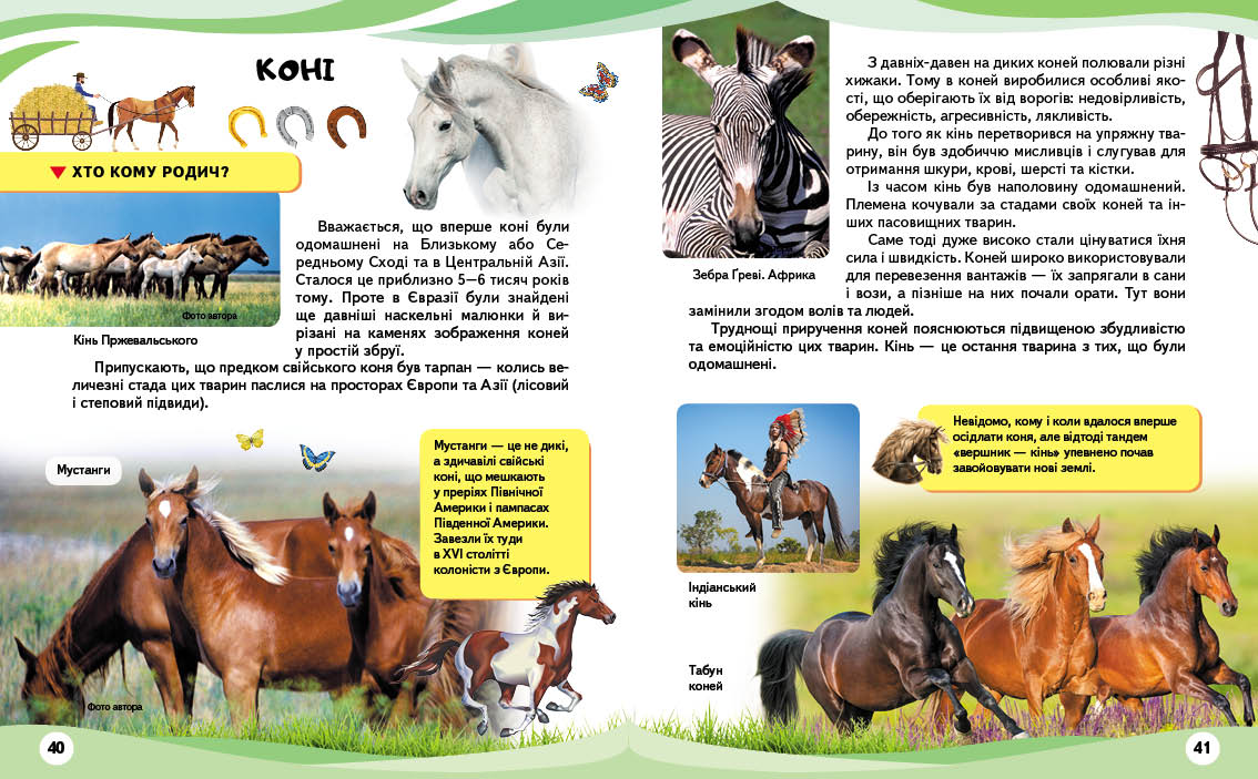 

Душка и Мишук Тю К. Примула 32 стр. (kni0001766)