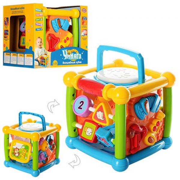 

Игра 7502 Волшебный кубик