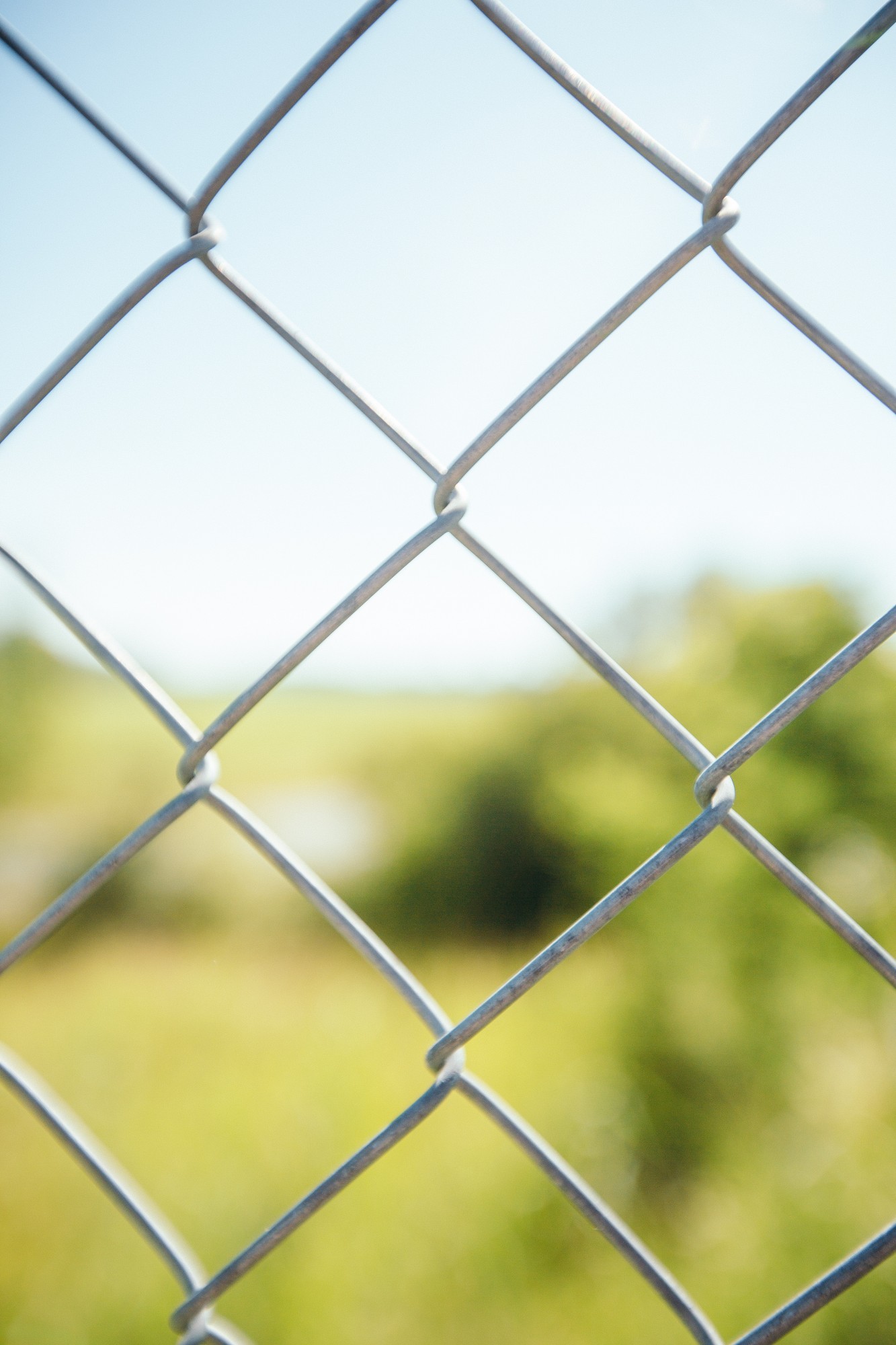 

Сітка Рабиця Сітка Захід оцинкована 15х15х1,2 мм 1х10м