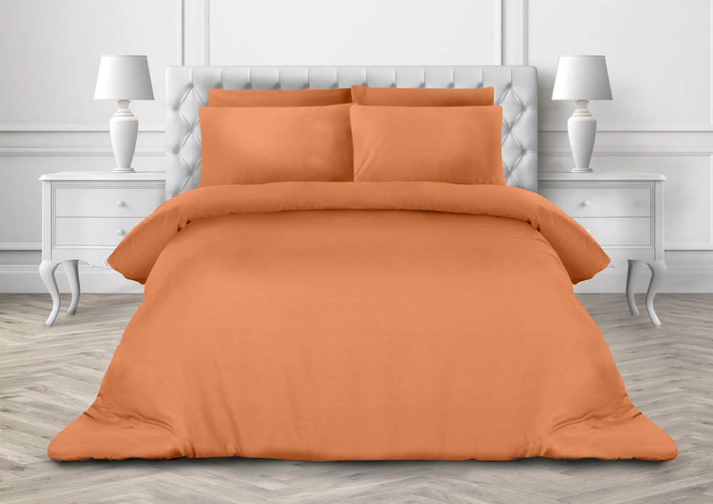 

Постельное белье CottonTwill Ранфорс Абрикос Турция Евро 200x220 см ( FB14168CT)