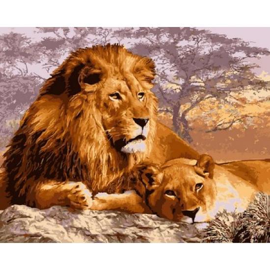 

Картина по номерам VP992 Кошки на отдыхе, 40x50 см., Babylon