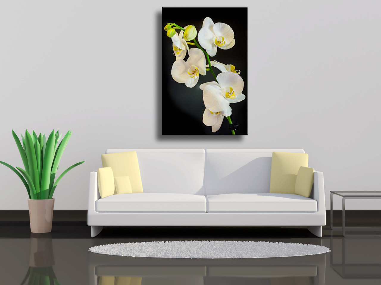 

Картина на холсте Белая ветвь орхидеи,известная как Moth Orchid на черном фоне 70х100