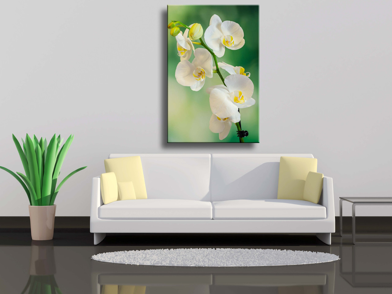 

Картина на холсте Белая ветвь орхидеи,известная как Moth Orchid на фоне боке 70х100