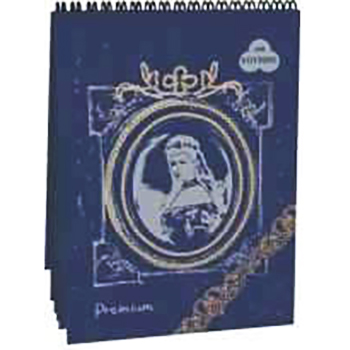 

Блокнот для пастели Лилия Холдинг Premium Night blue А5 160г 30л