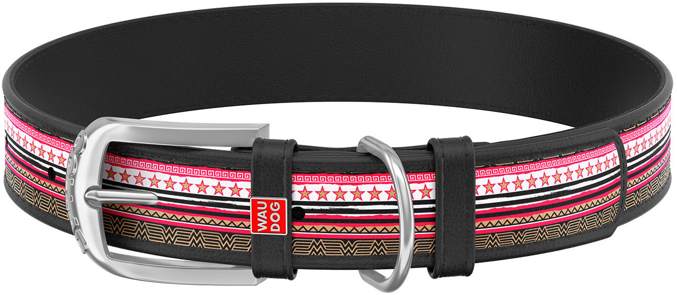 

Ошейник для собак кожаный Collar WAUDOG Design с QR паспортом, рисунок "Чудо-женщина", S, Ш 15 мм, Дл 26-35 см (0015-1009-01)