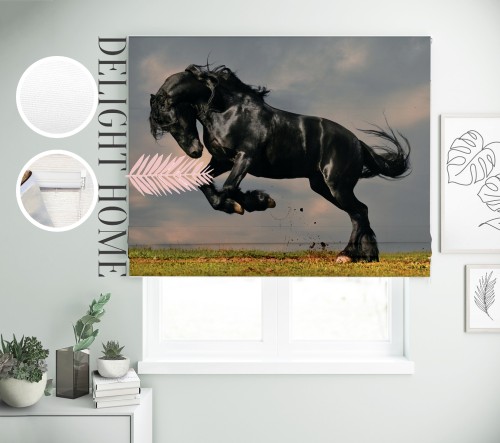 

Римская штора с фотопечатью 00-048 система Prestige I&H Джуси велюр 230*170 см