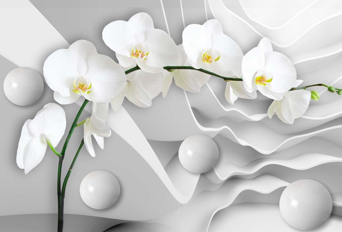 Каталог сайтов фотообои. Фотообои 3d стена. Фотообои стена и цветы. Фотообои орхидеи. 3 Д обои орхидеи.