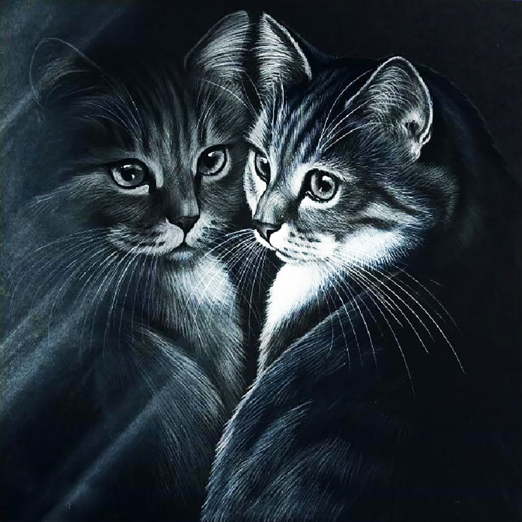 Картины Ирины Гармашовой коты
