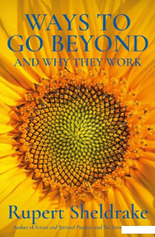 

Ways to Go Beyond and Why They Work: Seven Spiritual Practices in a Scientific Age (1144742)