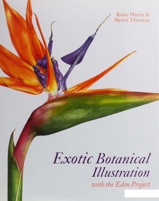 

Exotic Botanical Illustration (1073905)