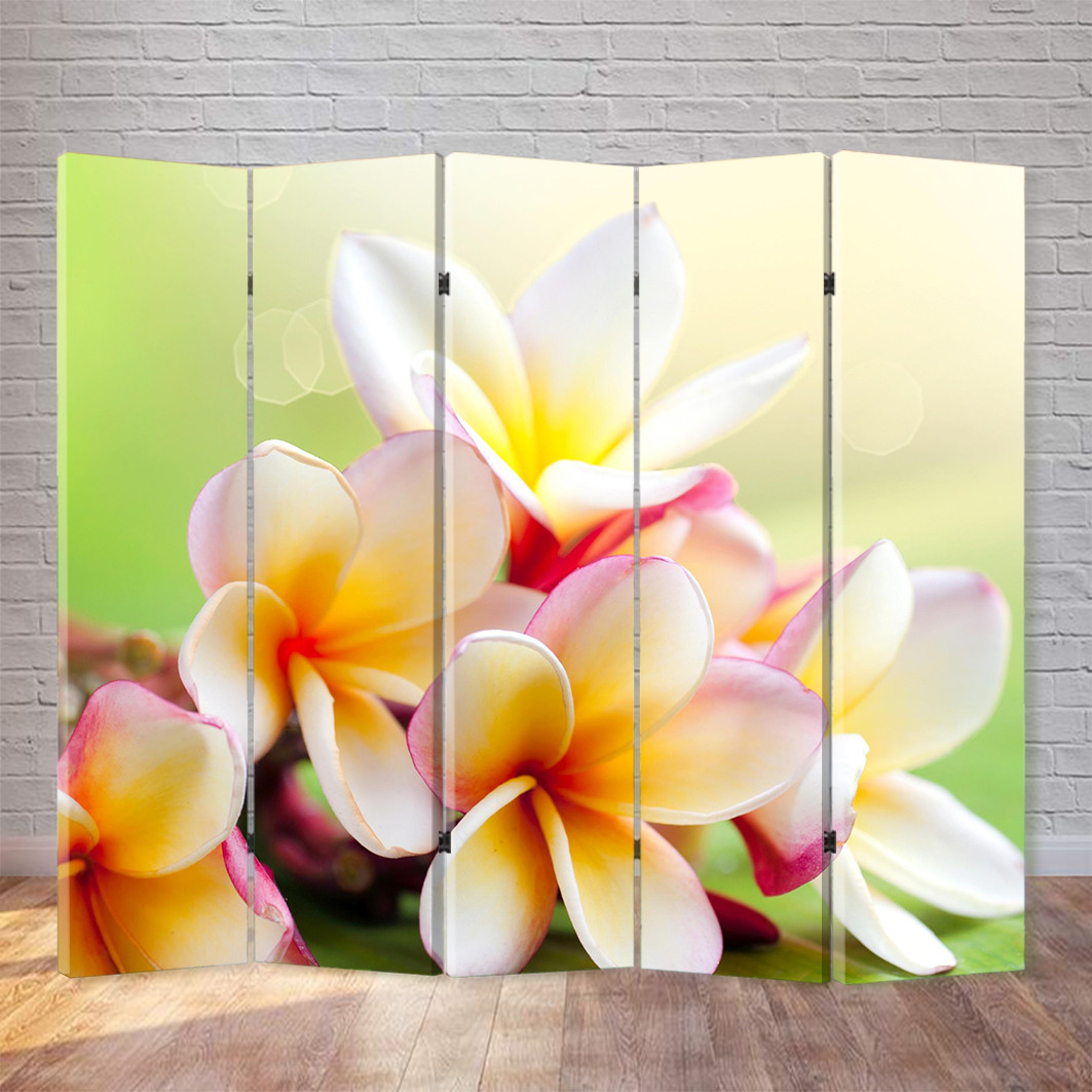 

Ширма декоративная FineDecor "Магнолия" 200x180 см 058b